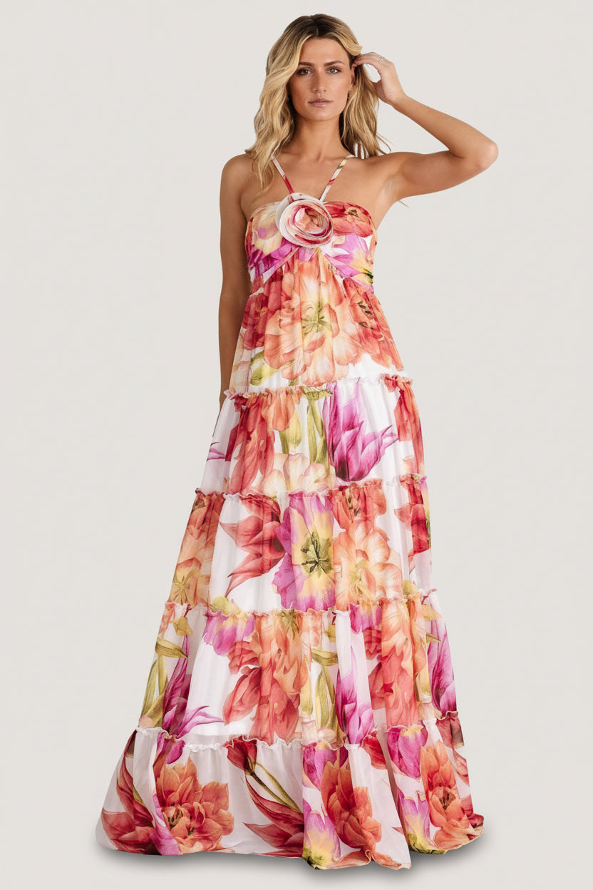 Charmaine Maxi Dress | Pink + Red Floral